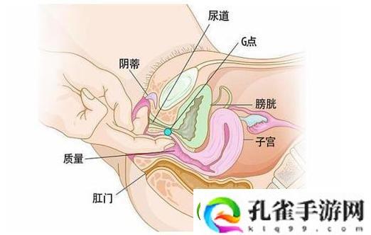 探索“大荫蒂BBBBBB大荫蒂”的无限魅力