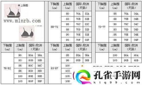 亚洲无人区码一码二码三码的区别