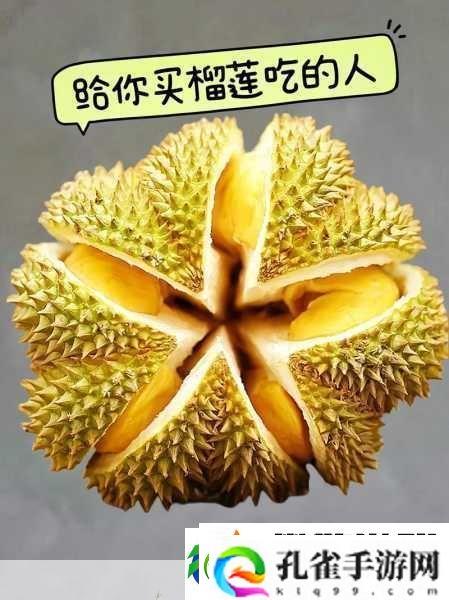 lll.999榴莲让你流连忘返破解无限制看演出