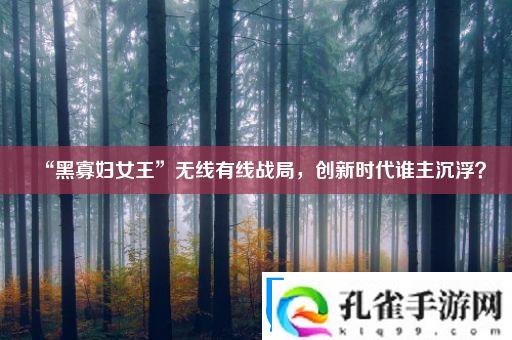 “黑寡妇女王”无线有线战局