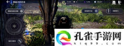 黑色沙漠武器强化可以继承吗-武器强化继承机制介绍