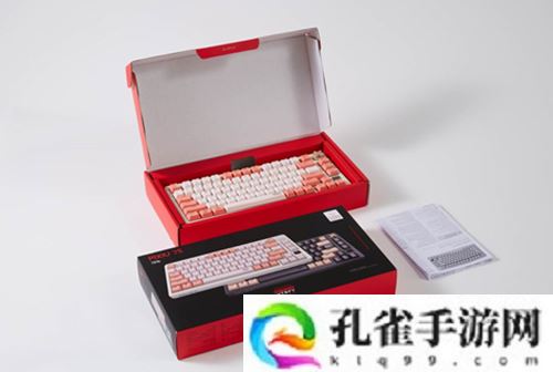 王者无双 CHERRY赞助2024FSPL职业联赛总决赛