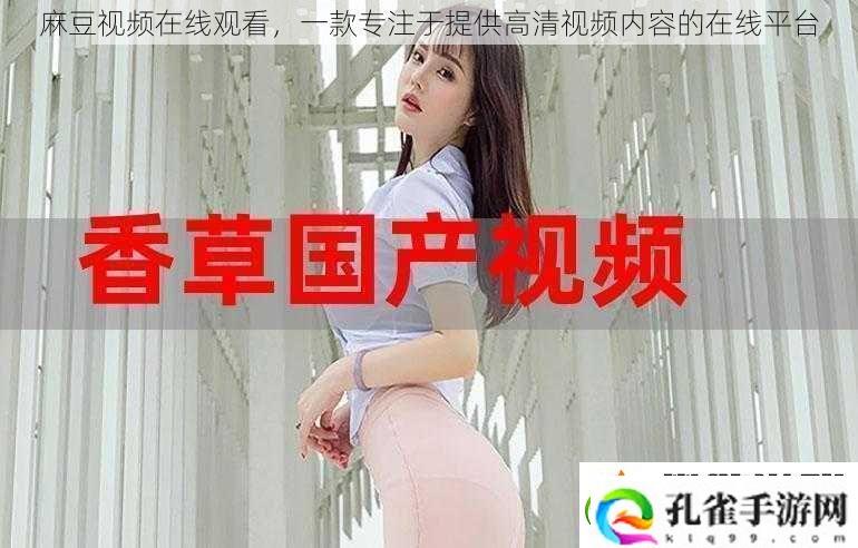 麻豆视频在线观看