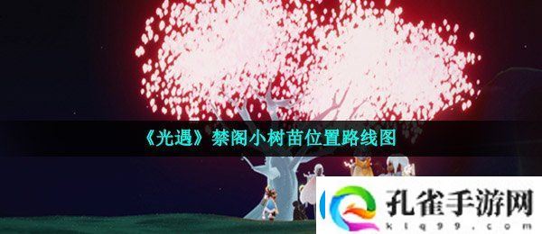 光遇禁阁小树苗在哪