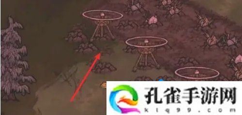 饥荒蜘蛛人怎么种地-种地方法介绍