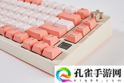 王者无双 CHERRY赞助2024FSPL职业联赛总决赛