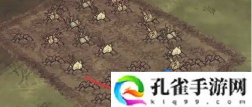 饥荒蜘蛛人怎么种地-种地方法介绍
