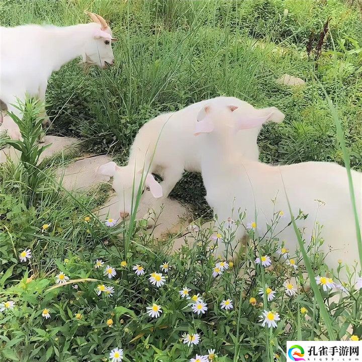 微信农场背景图片分享 微信状态背景图大全