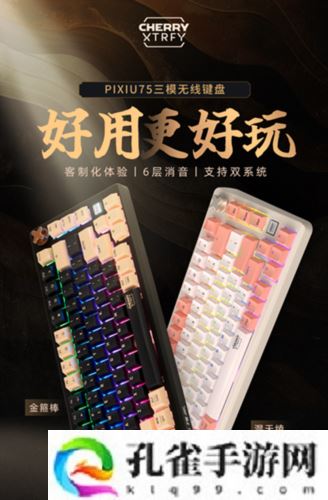 王者无双 CHERRY赞助2024FSPL职业联赛总决赛