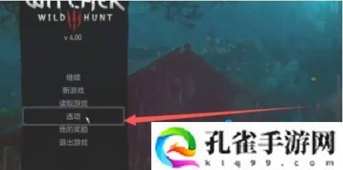 巫师3中文怎么设置-中文设置方法