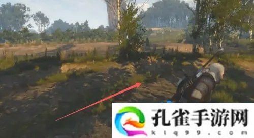 巫师3弩怎么使用-弩武器使用方法