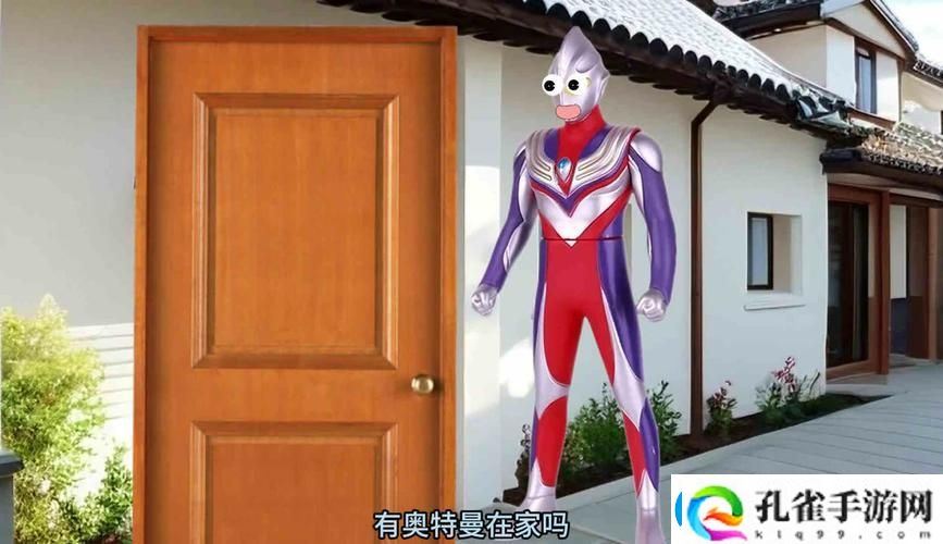 内容丰富爽