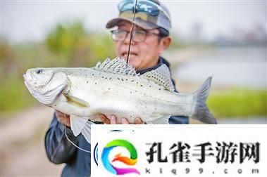 珊瑚岛巨型海鲈鱼垂钓位置全景