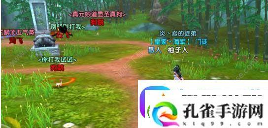 寻仙手游鸡飞狗跳大阵怎么打过