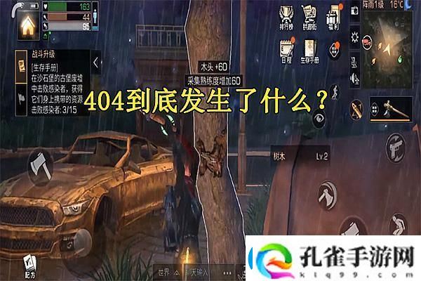 炉石传说11星与10星的神秘面纱
