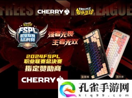 王者无双 CHERRY赞助2024FSPL职业联赛总决赛