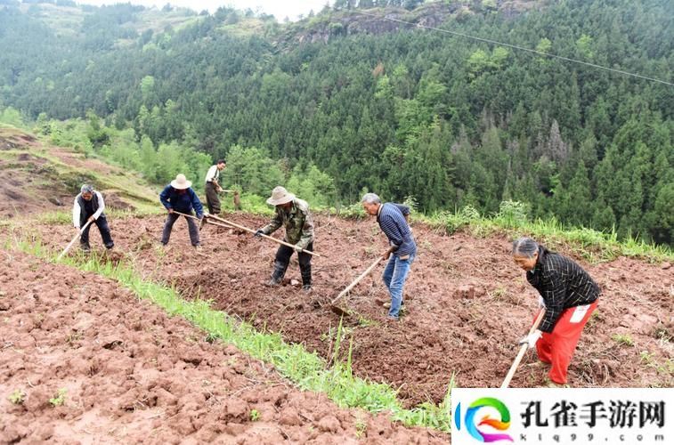 如何在“开垦老师肥沃的土地”中寻找教育的无尽可能