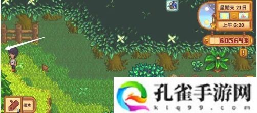星露谷物语蕨菜怎么获取-蕨菜获取方法