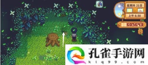 星露谷物语蕨菜怎么获取-蕨菜获取方法