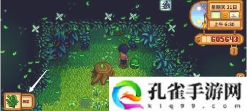 星露谷物语蕨菜怎么获取-蕨菜获取方法