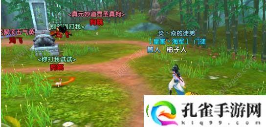 寻仙手游鸡飞狗跳大阵怎么打过