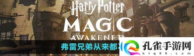 哈利波特魔法觉醒弗雷兄弟从来都不懂拼图位置在哪