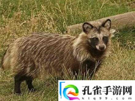 鎔鎔互分仃及乾中凶中貉棵