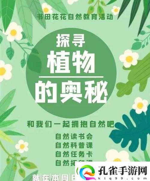探寻铿锵锵锵锵锵好多少之谜