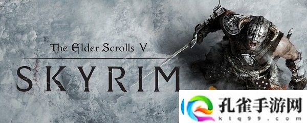 上古卷轴5随从代码是什么