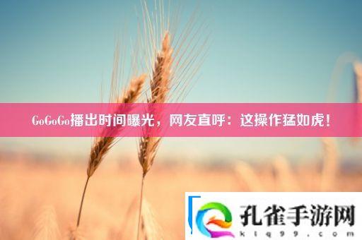 GoGoGo播出时间曝光