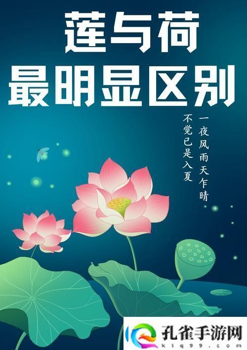 倒插莲花男女之间的寓意更新了