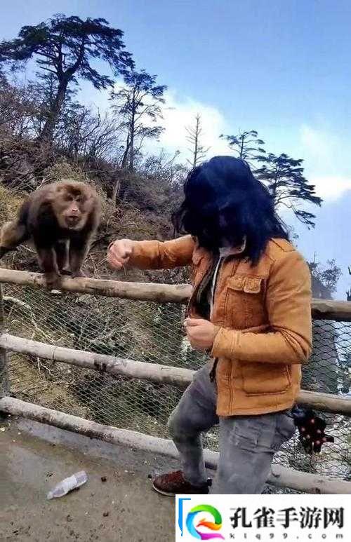 人跟猴子能生孩子吗