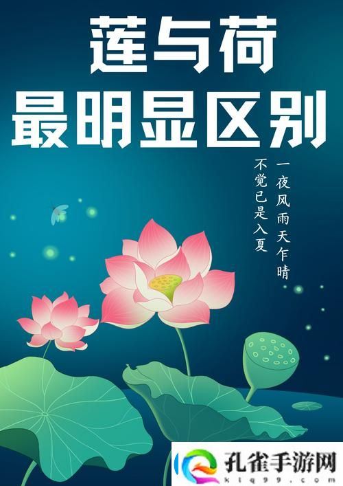 倒插莲花男女之间的寓意稳居榜首