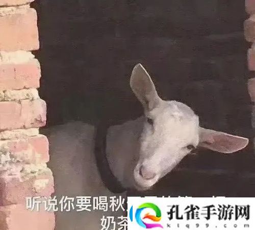 2023年秋天的第一杯奶茶是几月几号