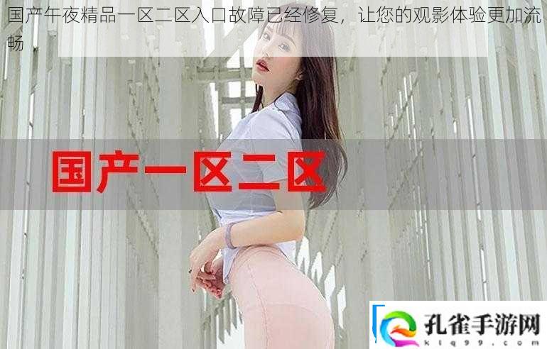 国产午夜精品一区二区入口故障已经修复