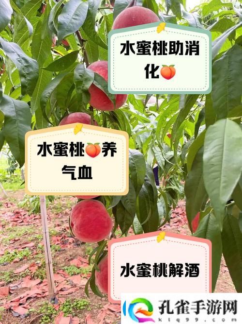 美丽的水蜜桃2最经典的一句