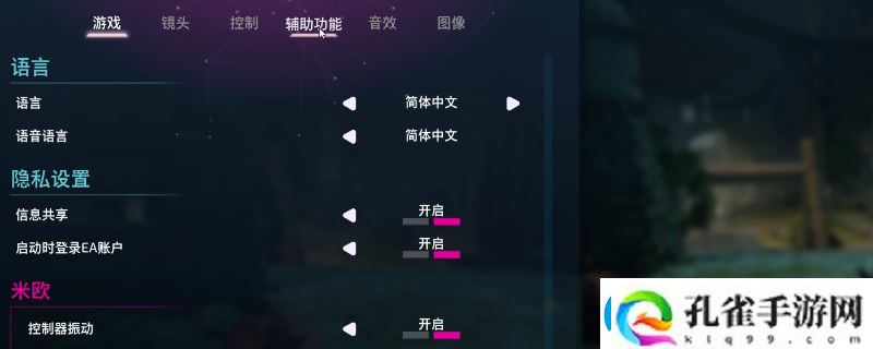 双影奇境辅助选项作用介绍