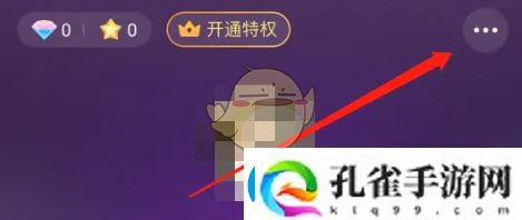 picopico隐身入室设置教程解析