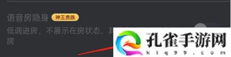 picopico隐身入室设置教程解析