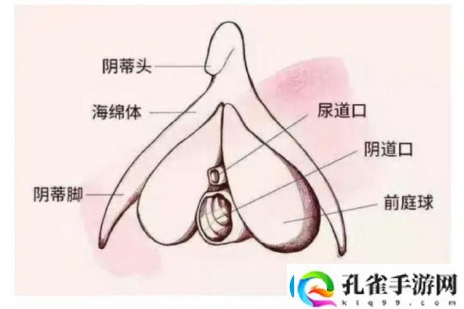大荫蒂bbbbbb大荫蒂引发热议