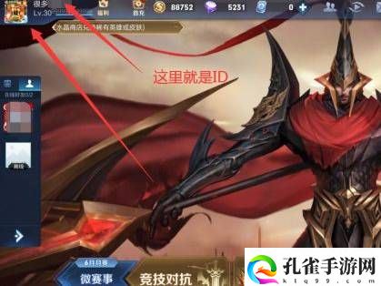 王者荣耀id在哪里查看