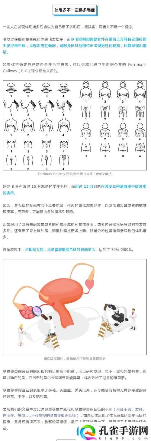 内容丰富A级毛斤和二级毛斤的区别