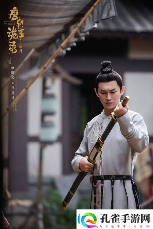 一杆长枪直入两扇门免费日剧