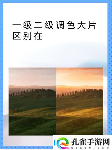 为什么理解“一级二级调色与大片调色的区别”对摄影和影视制作如此重要