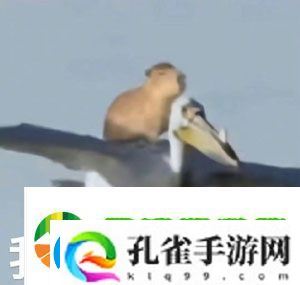 抖音水豚精神症状是什么梗