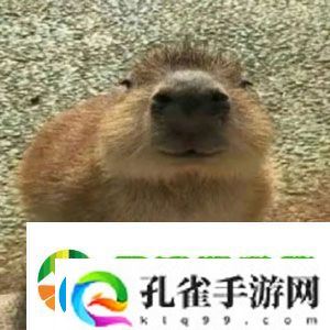 抖音水豚精神症状是什么梗