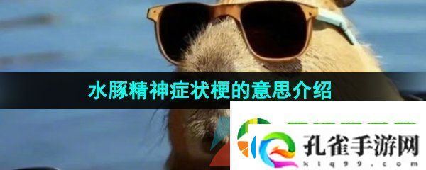 抖音水豚精神症状是什么梗