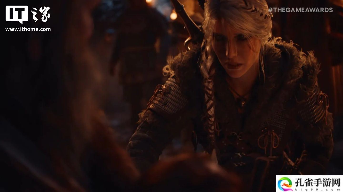 粉丝期待落空：CDPR 确认明年不会发售《巫师 4》