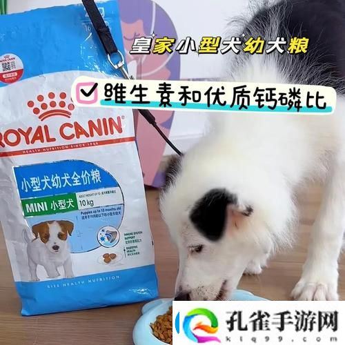 人狗胶配方大全流畅不卡顿