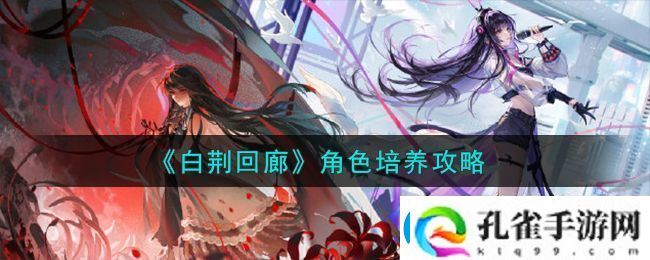 白荆回廊角色培养攻略